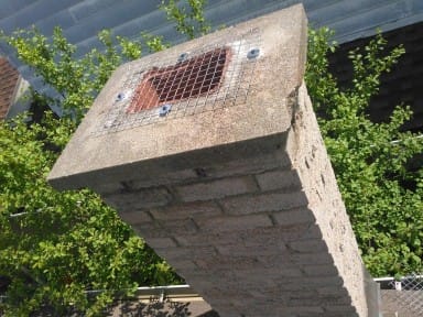raccoon on chimney