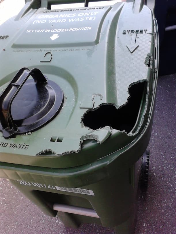 squirrel caused green bin damage