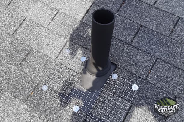 Brampton Vent Pipe Exclusion