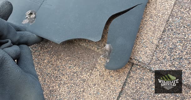 A previous hole cover was found to be damaged and compromised.