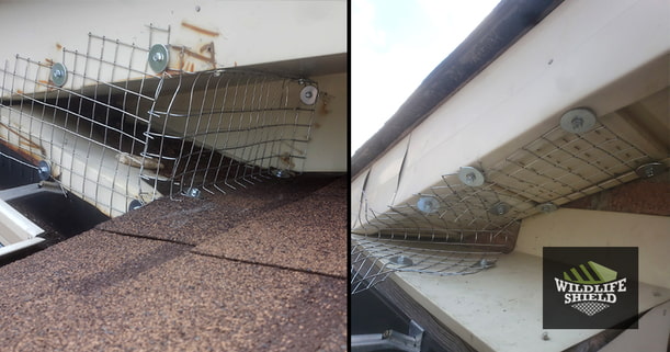 Exclusion of the Roof Soffit Intersections