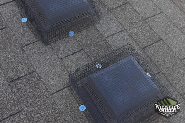 Mississauga Valley Roof Vent Exclusion