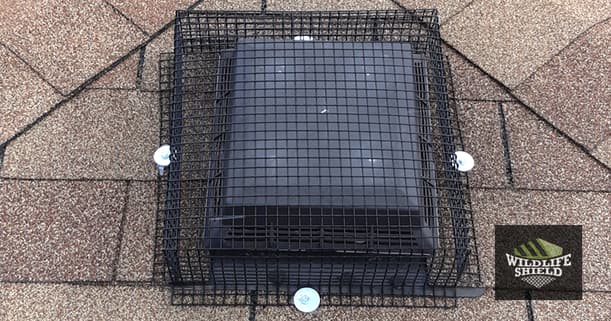 Roof Vent Cover Galvanized Steel Mesh