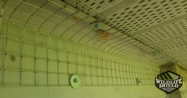 Soffit Reinforcement Squirrel Proofing