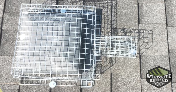 Squirrel One Way Door on Roof Vent