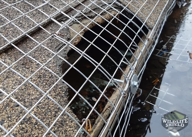 One-Way Doors Removed