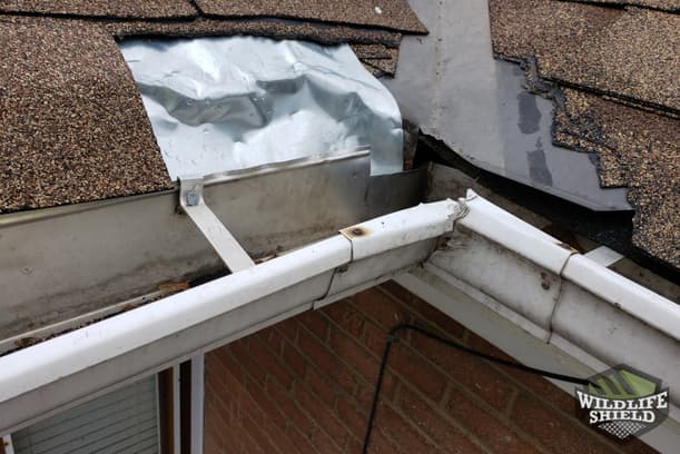 Opening in Roof Edge North York