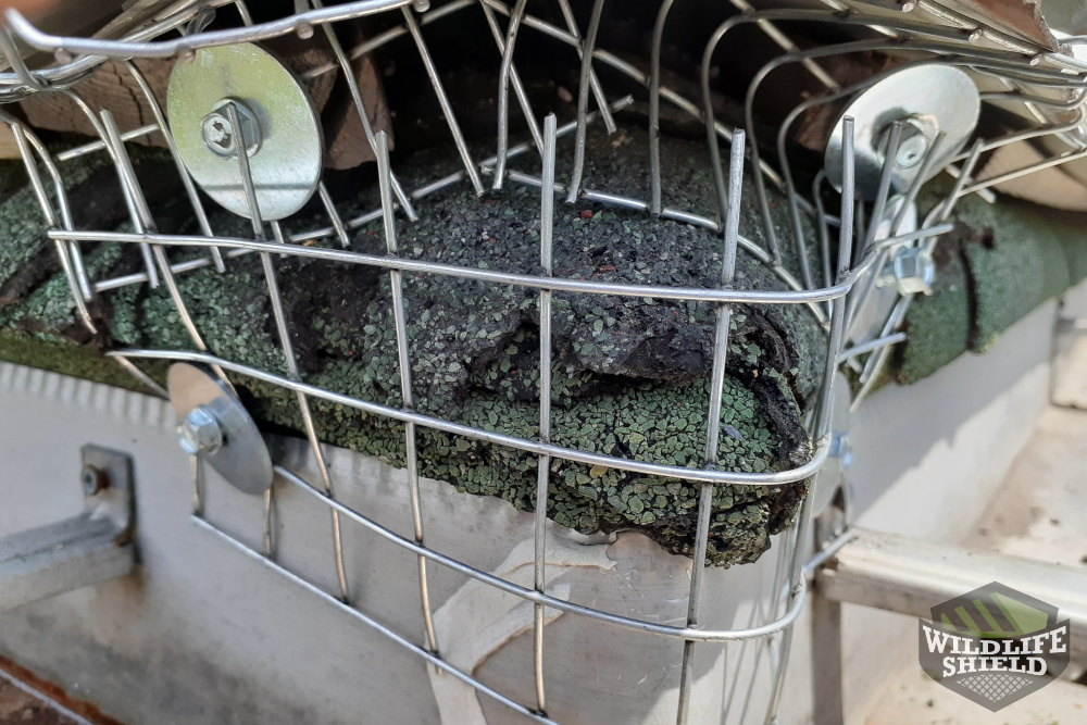 Roof Corner wildlife-Proofing
