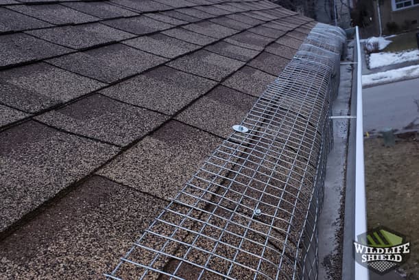 Roof Edge Exclusion North York