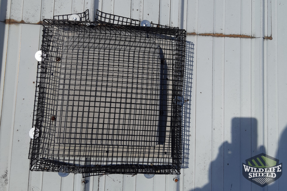 Roof Vent Cover Wildlife-Proofing