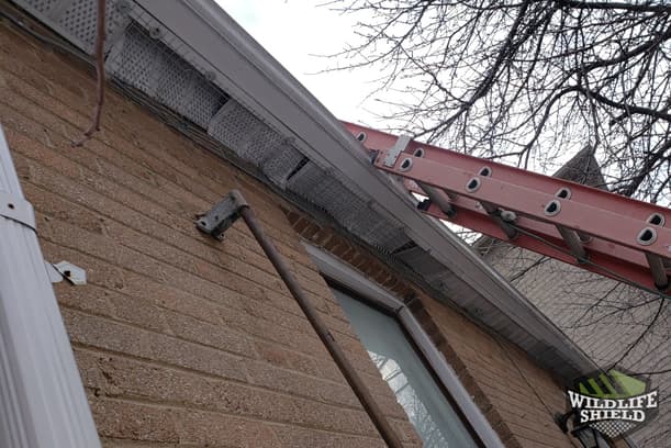Soffit Exclusion North York