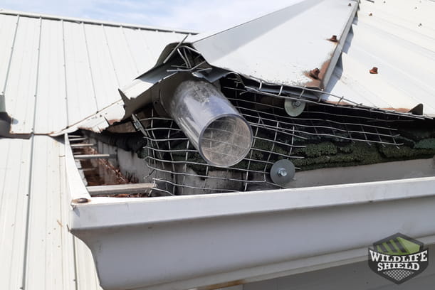 Bat One Way Door Toronto