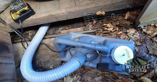 Botanical disinfection and deodorization