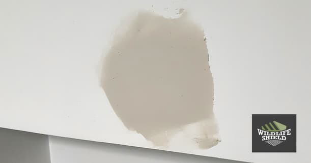 patched hole on wall