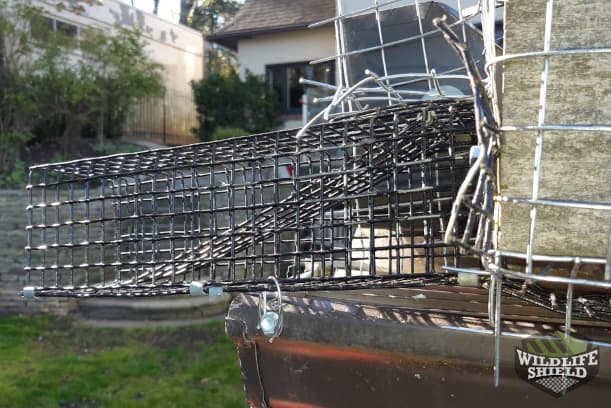 Squirrel One Way Door in Roof Edge