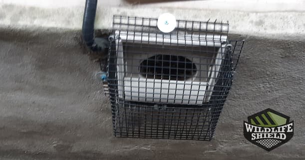 open wall vent protected with steel mesh