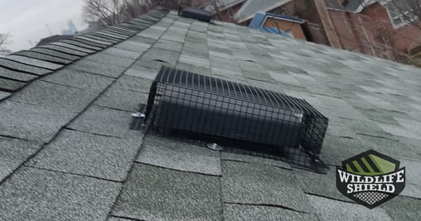 roof vent covered with cage