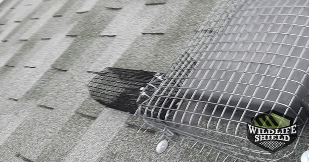 roof vent was excluded steel cage with one way door attached