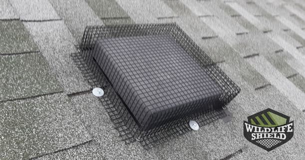 second protected roof vent