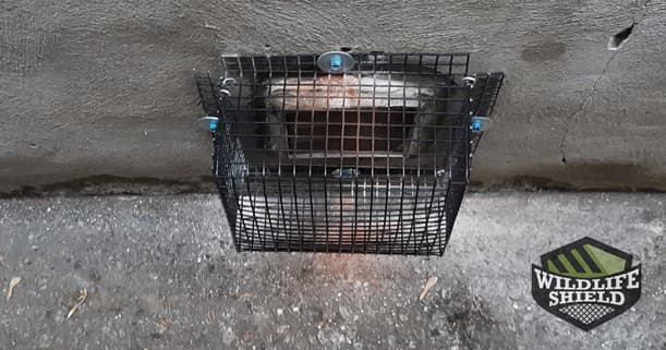 second sealed wall vent