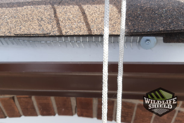 Another roof edged sealed off