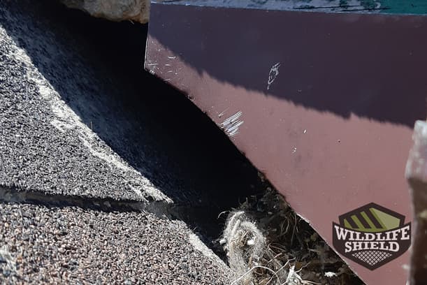 open-area-near-roof-and-aluminum-siding-intersection