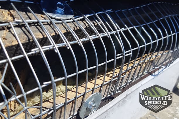 waterproof-sealed-roof-edge