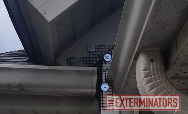 sealing of main entry point in guelph