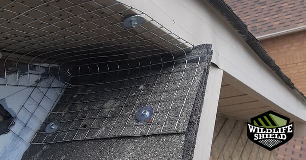 area was sealed off and protected from further animal access