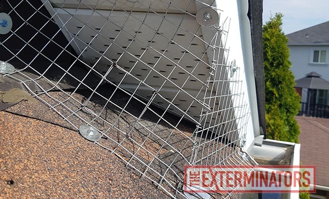 entry point was sealed after exclusion