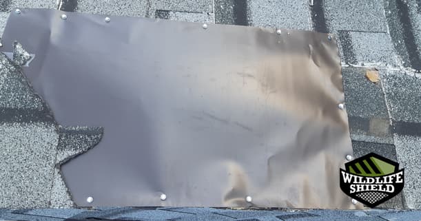 roof-sealed-with-damaged-aluminum-sheet