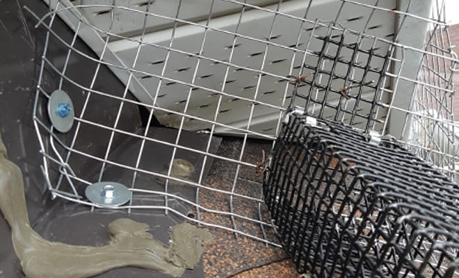 the one way door was installed on the entry point