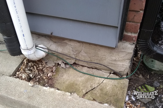Foundation Cracks Entry Point