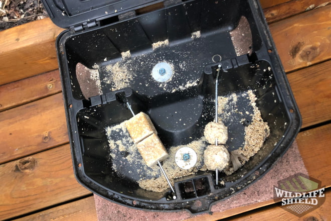 Rat Exterior Bait station