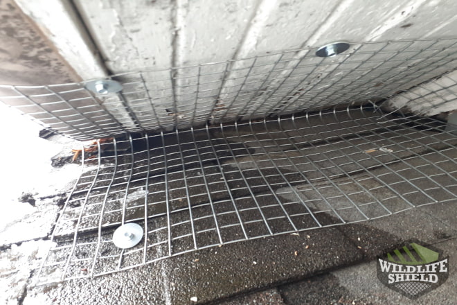 Roof-Soffit Intersection Excluded