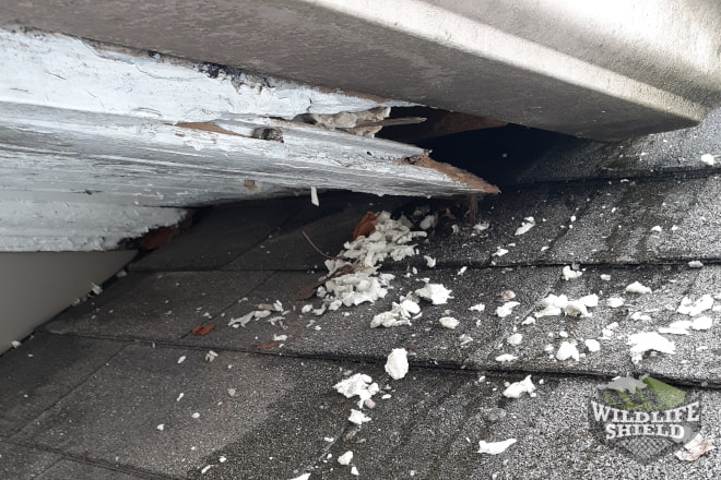 Soffit Intersection Entry Point