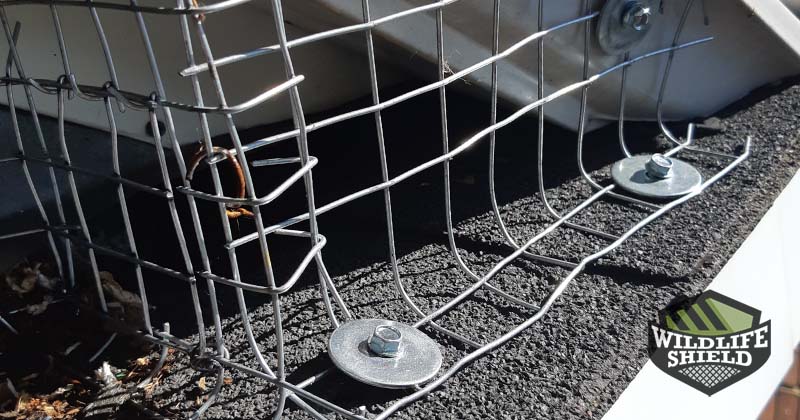 Another area of sealed drip edge could have been an entryway.