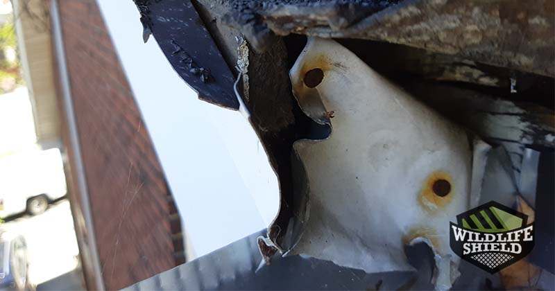 broken and rusted drip edge
