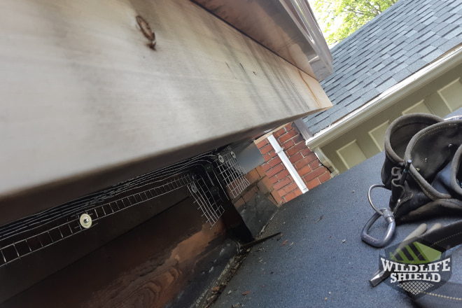 Gaps Sealed with Mesh