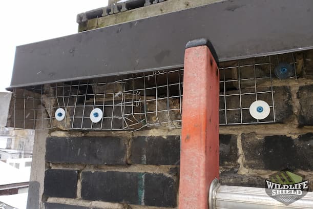 Brick Exclusion on Side of House