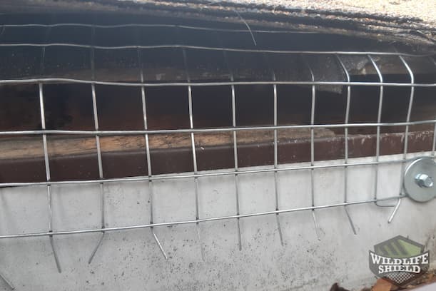 Drip Edge Exclusion Wildilfe-Proofing