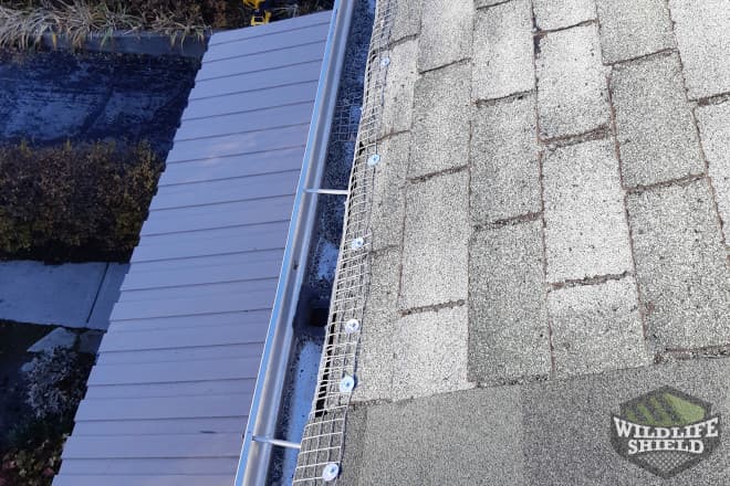 Roof Edge Exclusion Toronto