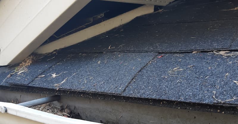 Case Study: Squirrel break-in gable in Mississauga