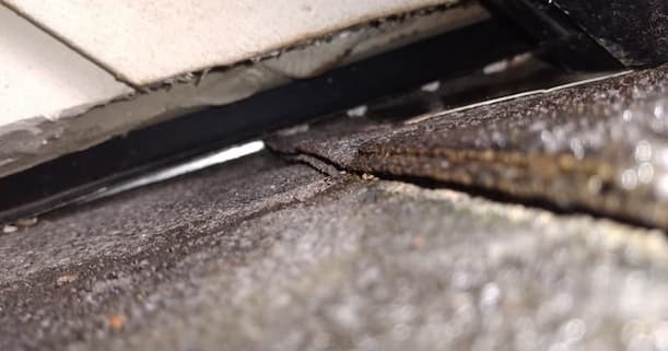 Case Study: Red Squirrel Break-in and Stucco Patching