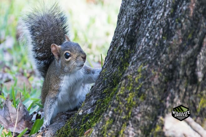 multiple-entries-points-in-a-residential-property-in-guelph (1)