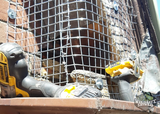 Soffit Exclusion Toronto