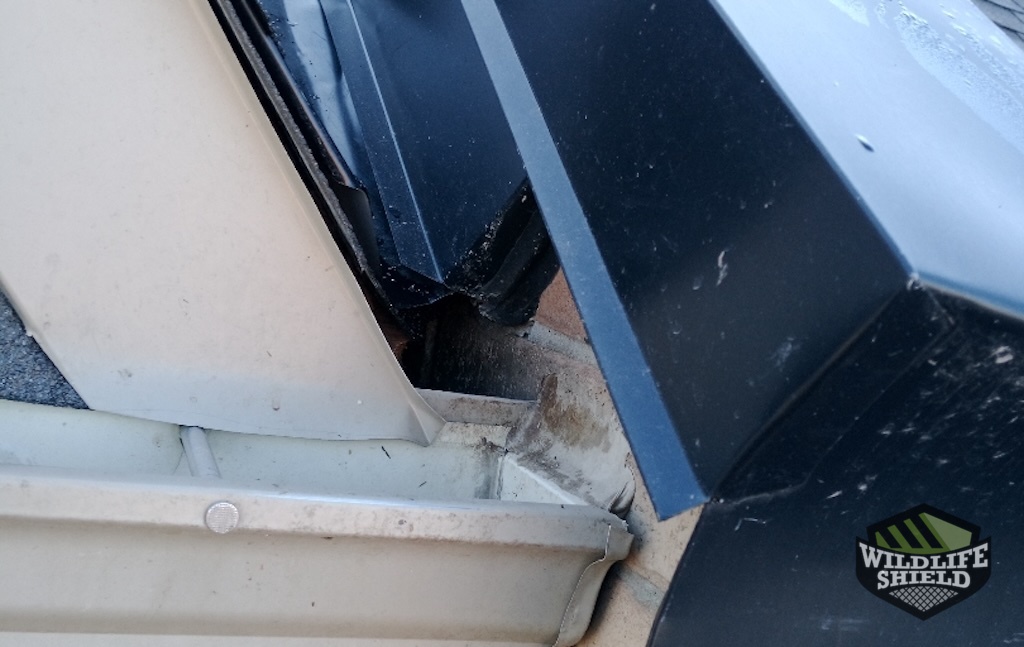 Roof Wall Intersection