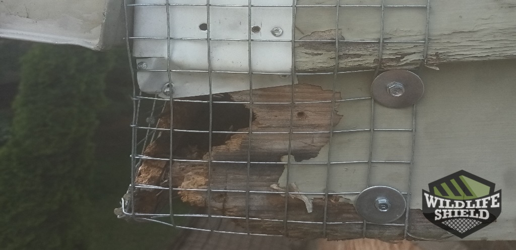 Exclusion of a Badly Damaged Roof Edge Corner