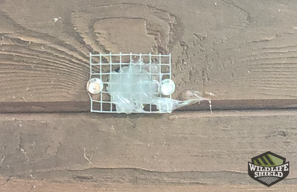 Exclusion of Accessible Areas