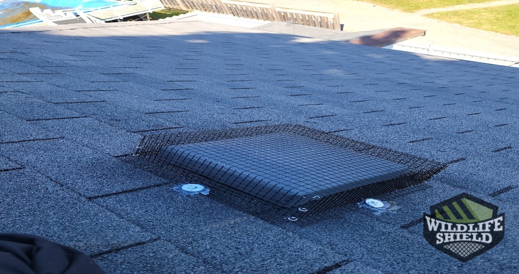 Excluded Roof Vent